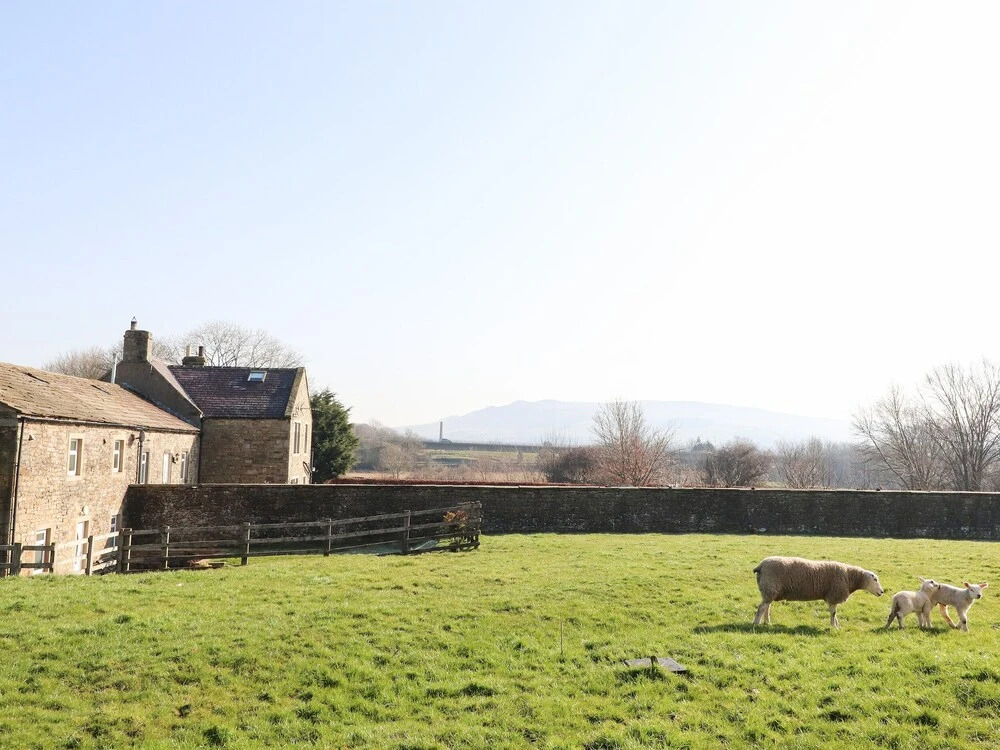 Zoey Cottage
