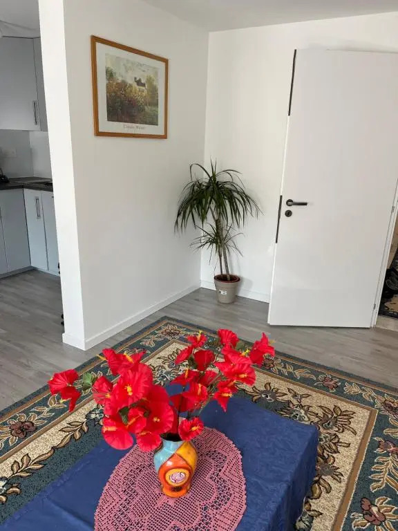 Maison Neuve Chaleureuse Pour 1 a 4 Personnes