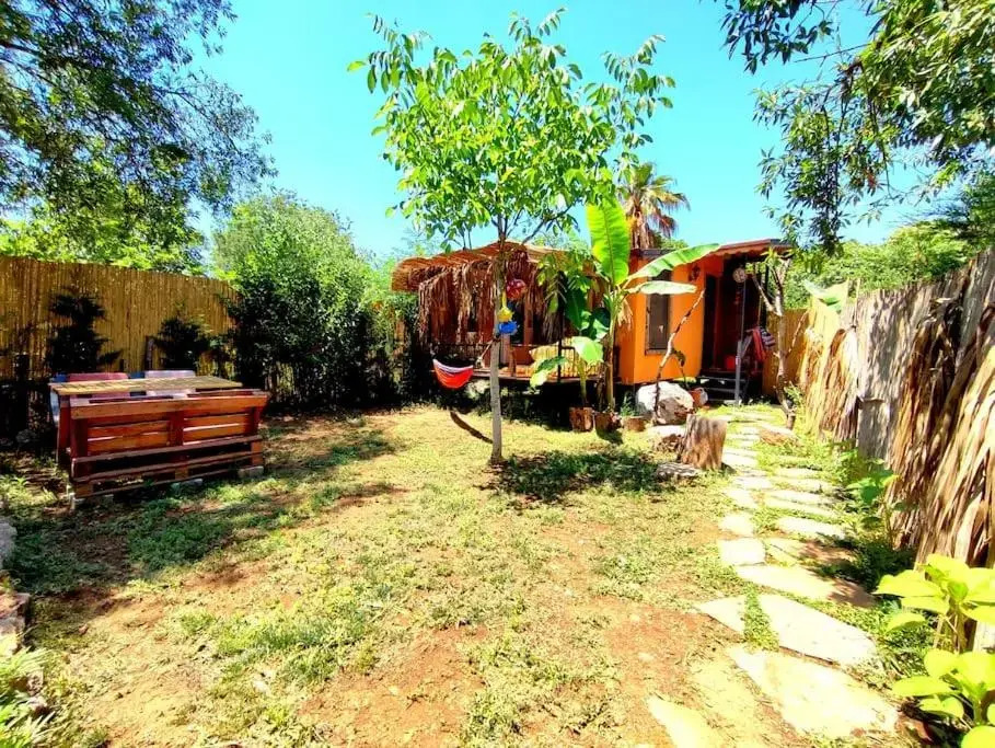 Tiny House Ceviz Kayaköy Jungle Camping