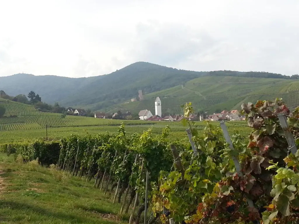 La maison des vignes