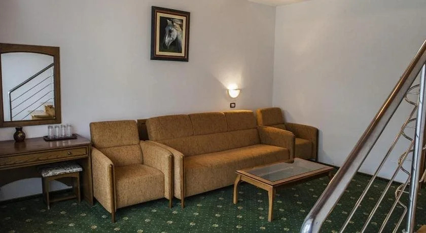 Hotel Casa Viorel jacuzzi & saunas