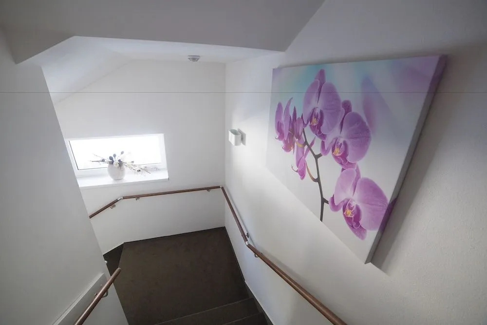 Hotel Star Lipno