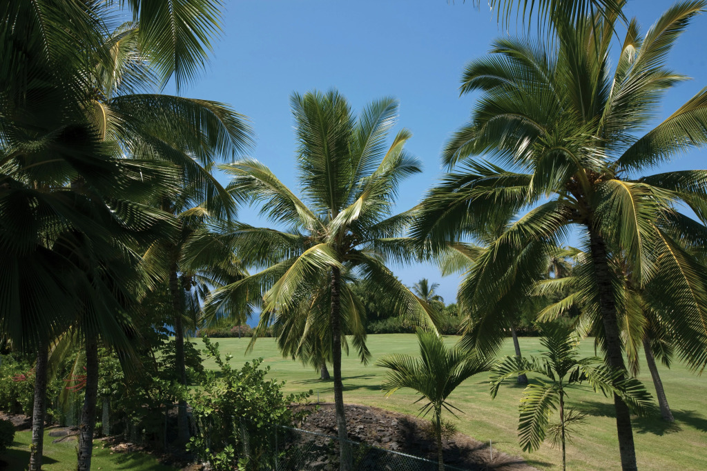 Holua Resort