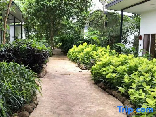 The Firefly Resort