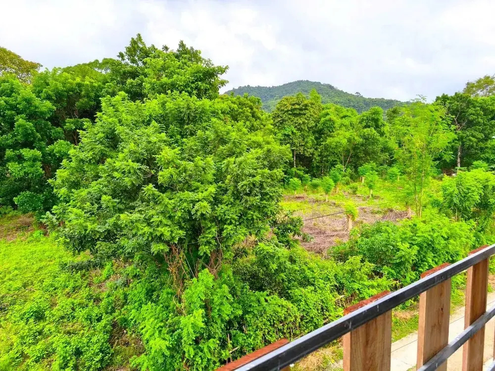 Green Hill Labuan Bajo by ABM