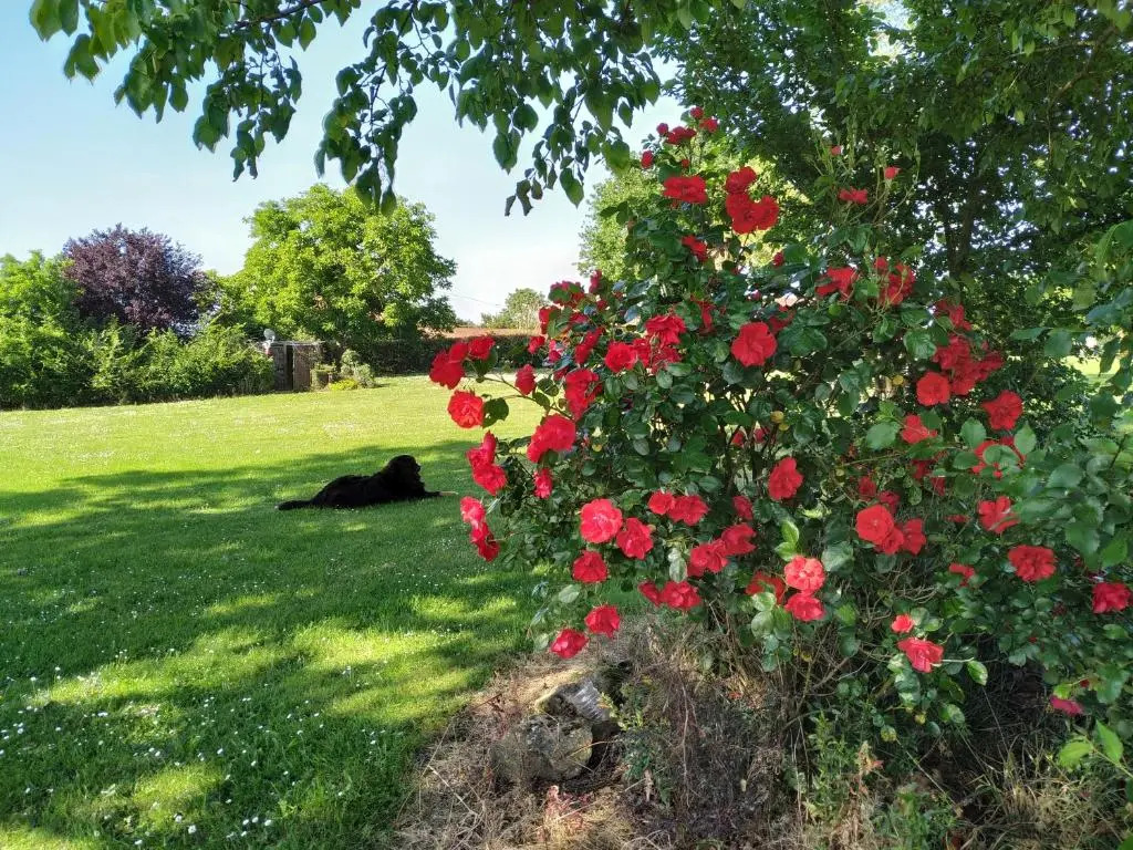 Charming Courtyard cottage 25kms Puy du Fou