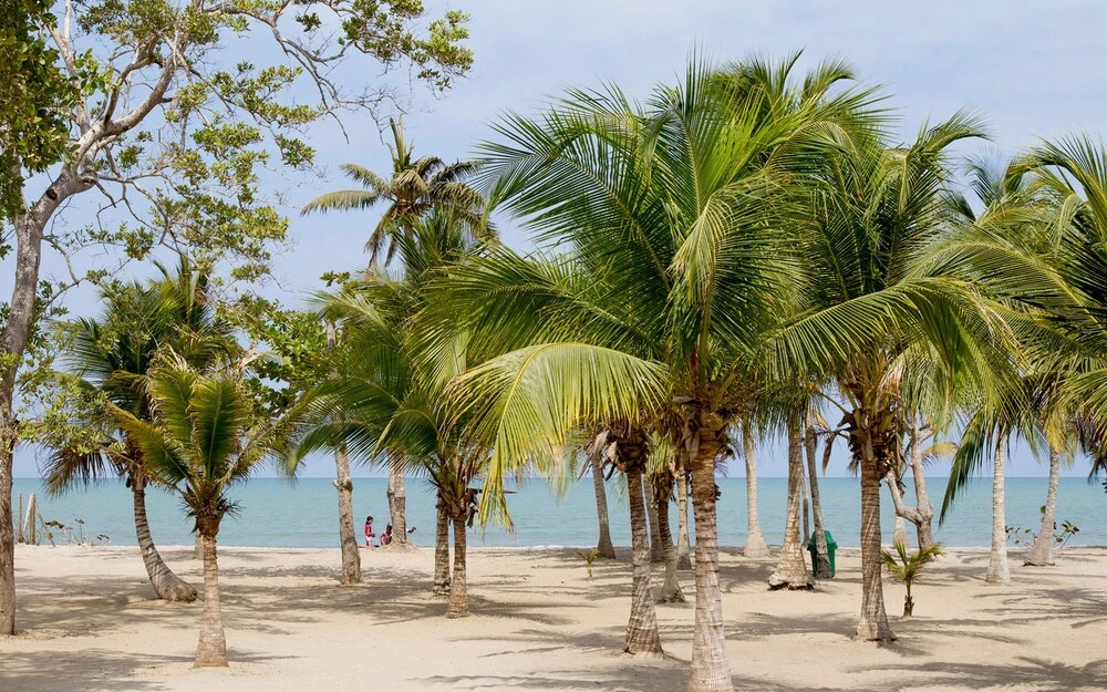 Palmares del Frances