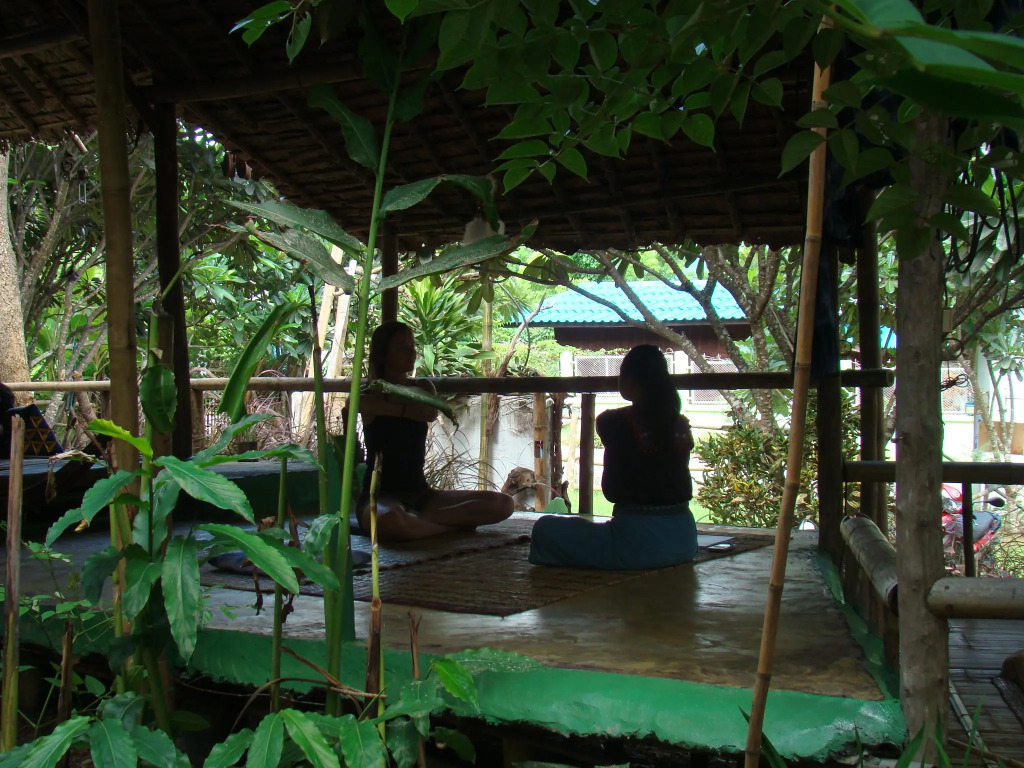 Re - Wild House