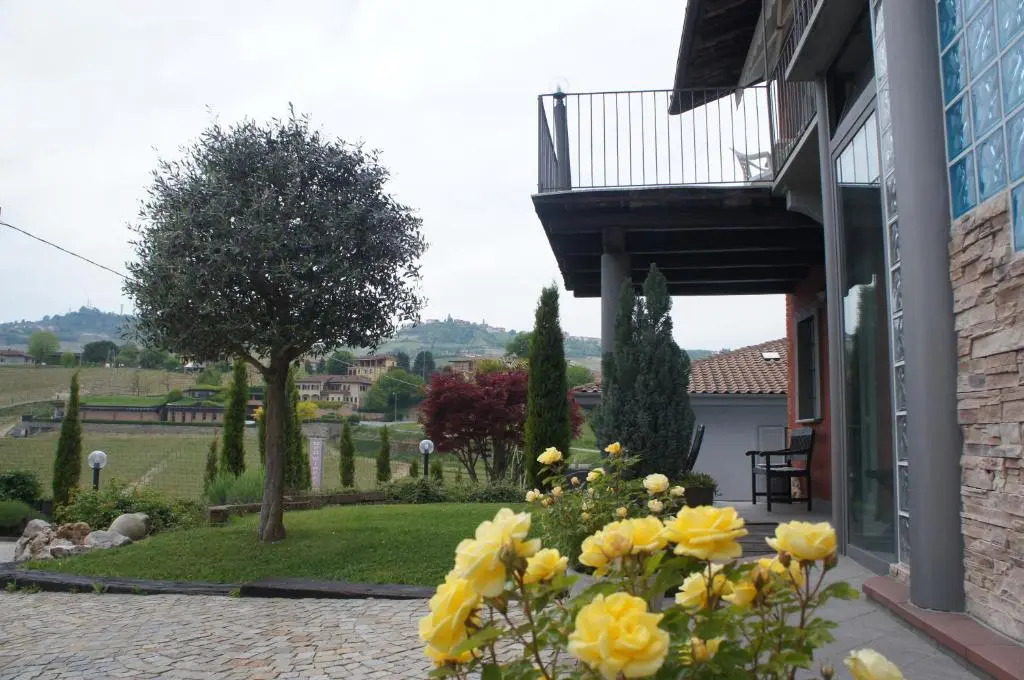 Red Wine Camere