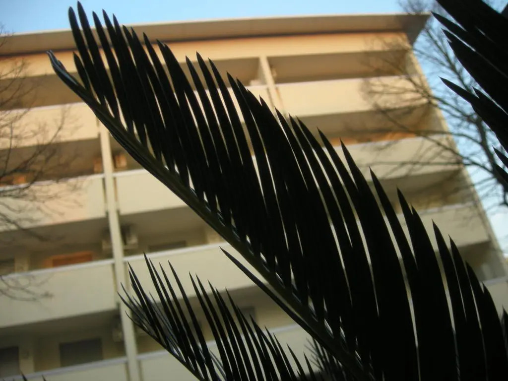 Residence Columbia