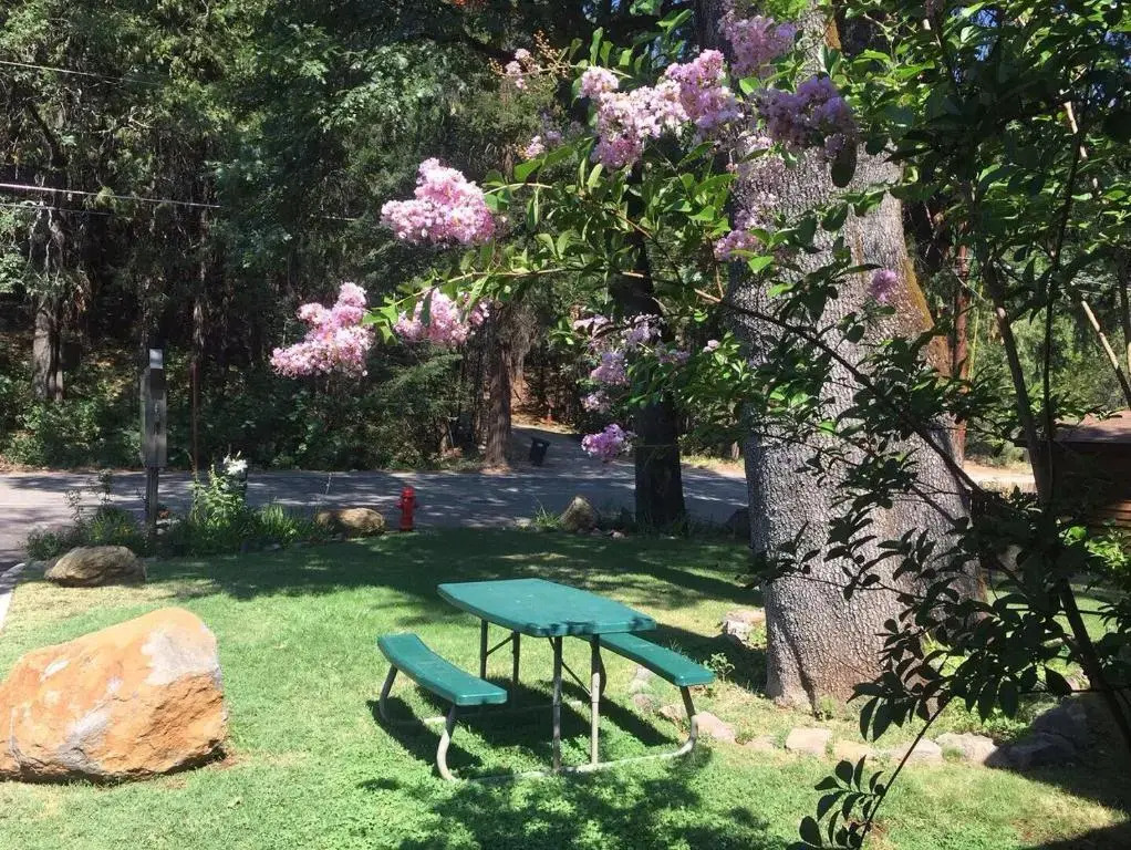 Dunsmuir Lodge
