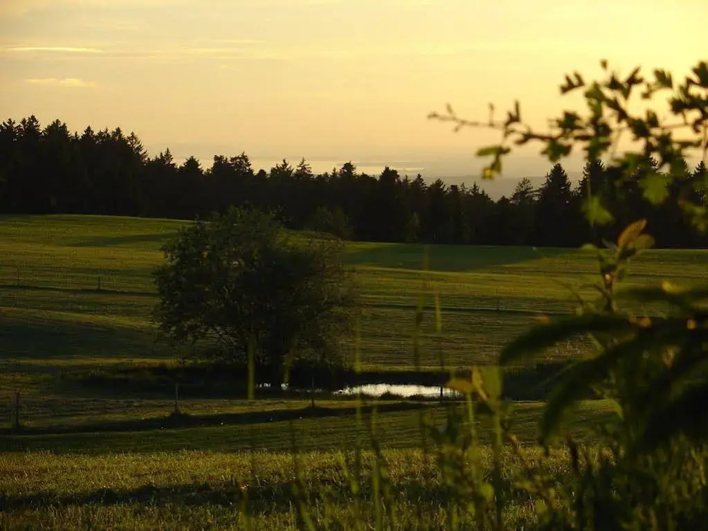 Landhotel Herzberger