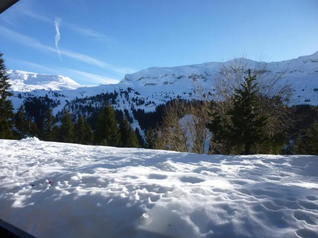 Studio Flaine, 1 pièce, 4 personnes - FR-1-425-174