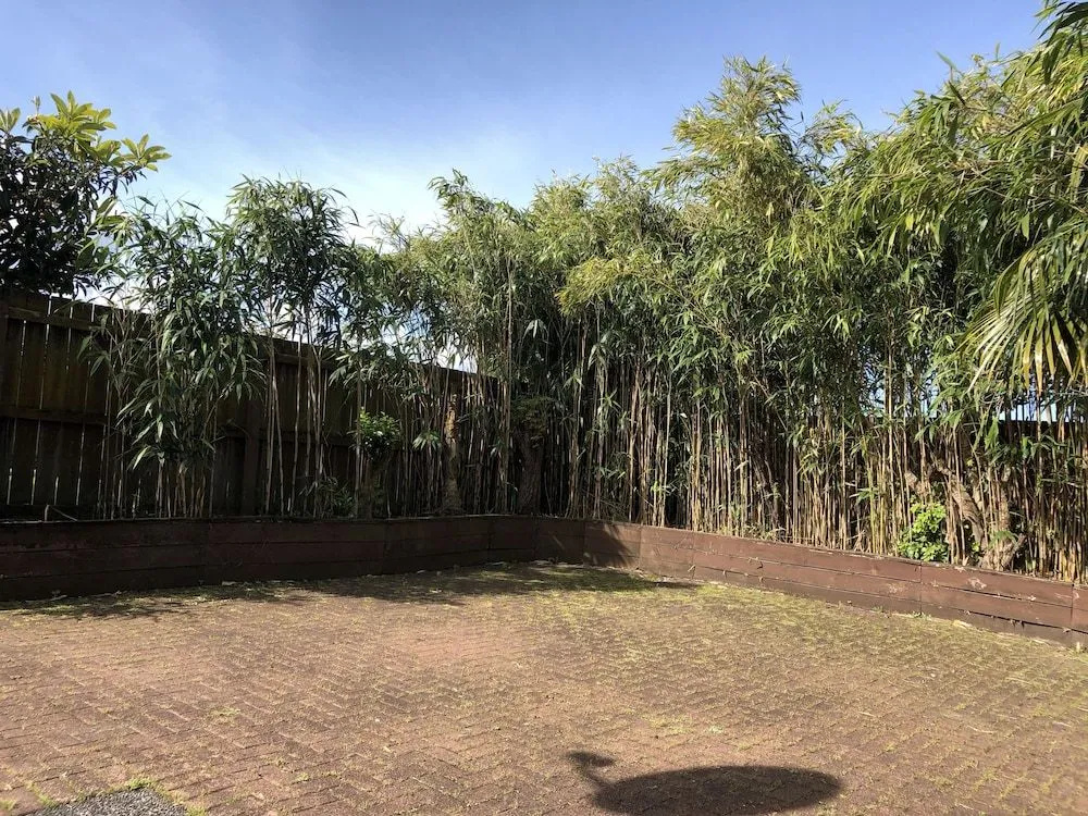 Auckland GQ Holiday Home