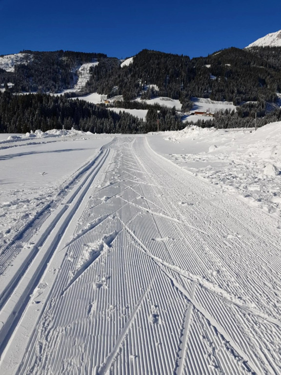 Appartement Mühlebnerhof