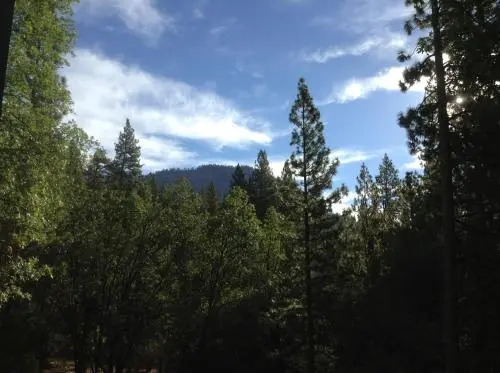 44r Grant'S Camp