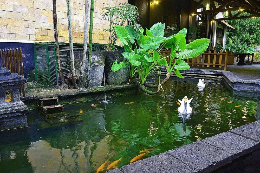 ZEN Premium Singgasana Gunungsari