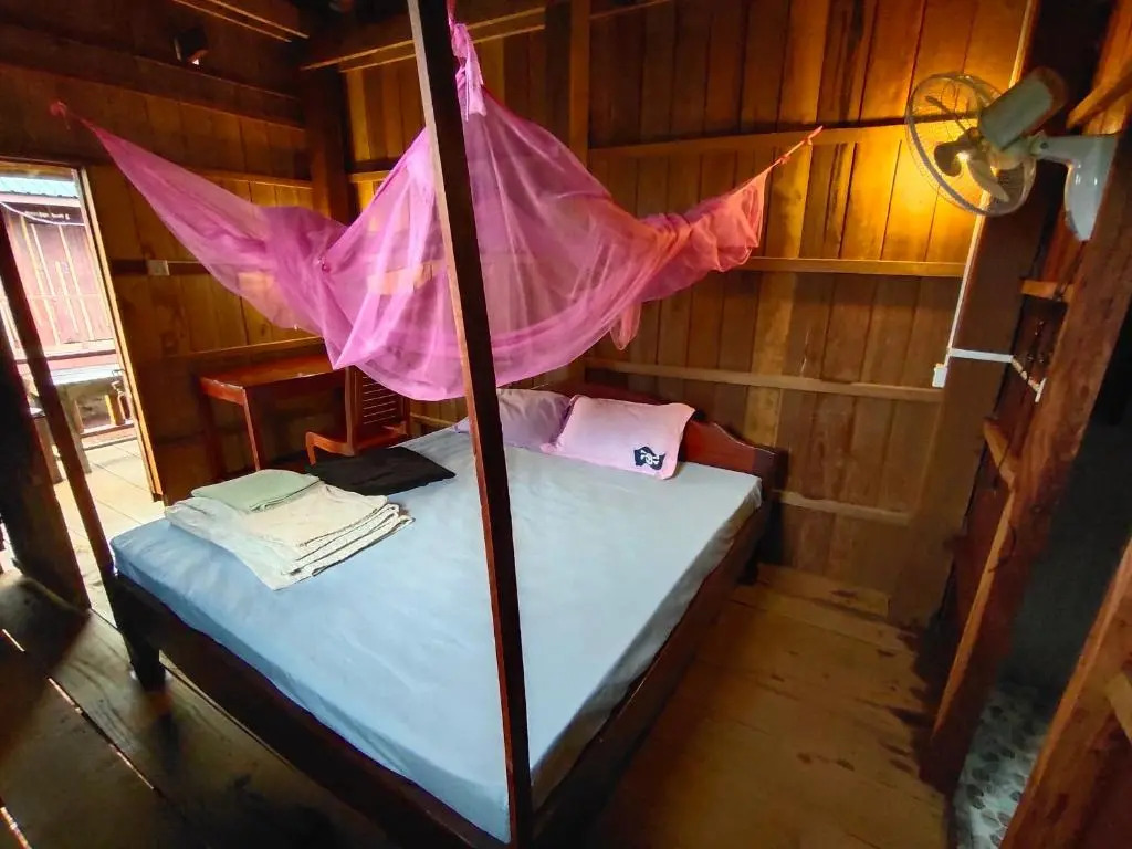 Tree Trails Homestay & Offers Jungle Trekk-Scooter For Rental
