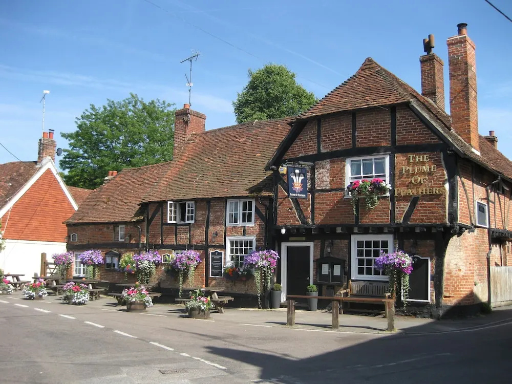 The Plume of Feathers