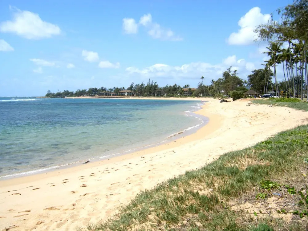 Islander on the Beach 259 - studio Br Condo