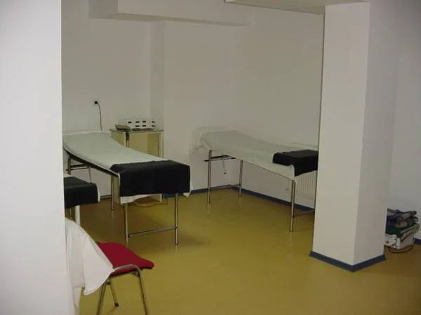 Hotel Bradul
