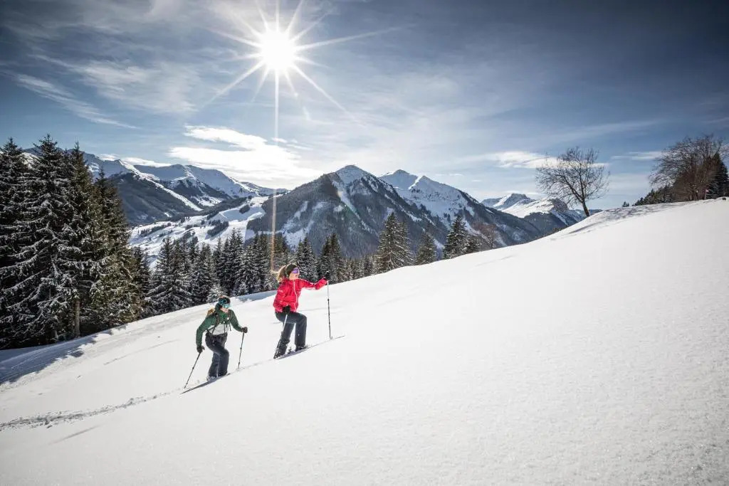 Appartement Neumayer