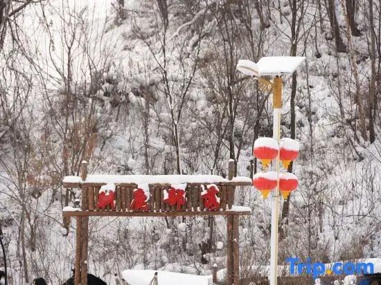 Jiayi Guesthouse