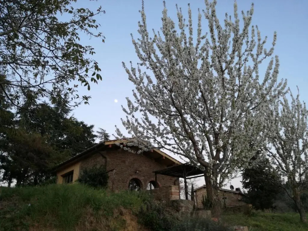 Podere le Muricce