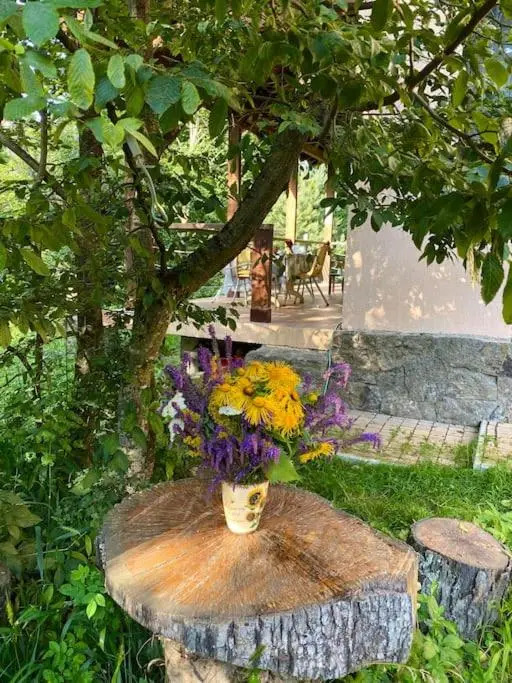 3 Bedroom House In The National Park of Dilijan