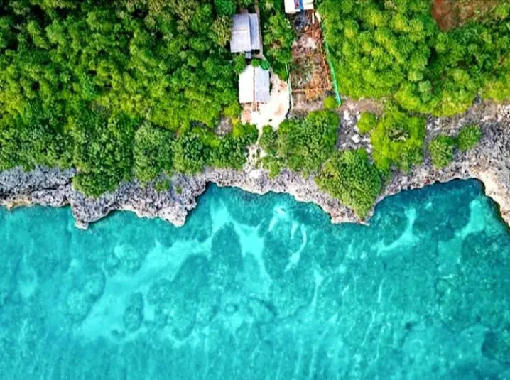 Cliff Garden
