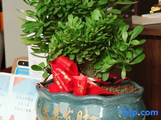 Xianju Yuejie Homestay