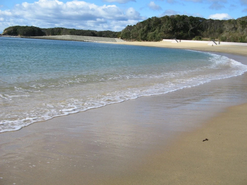 Shima-kirakusou