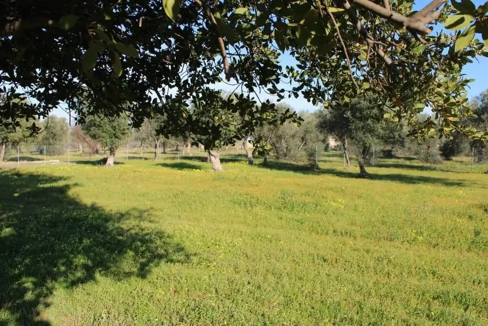 Villa Laura, Complete and Modern Furnishings, a Green Oasis by the City