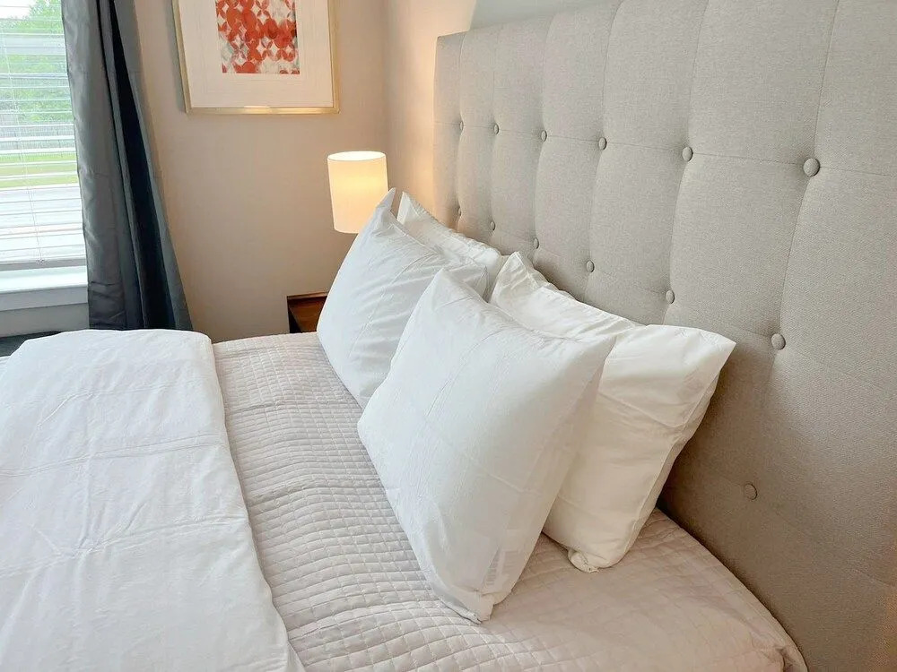 The Elvis Presley Urban Luxury Apts Austin