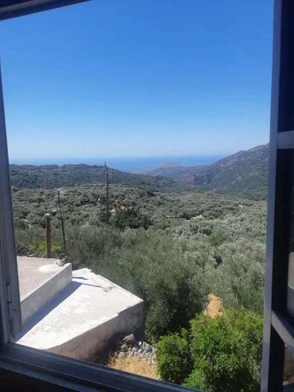 view home