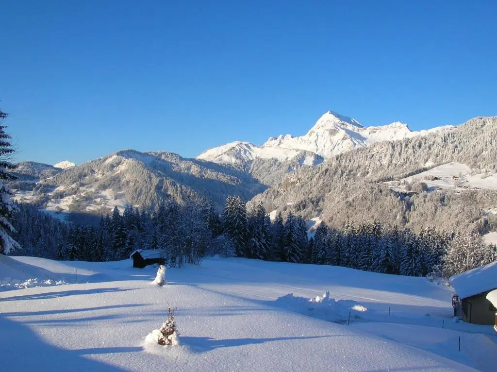 Chalet la Tovasse