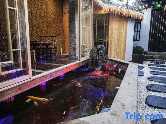 Xitang Town Dayin Fuguang Homestay