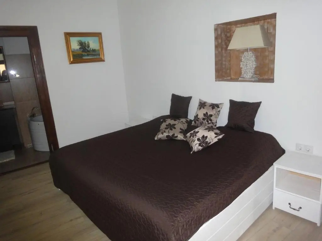 Luxury Central apartment in Sibiu