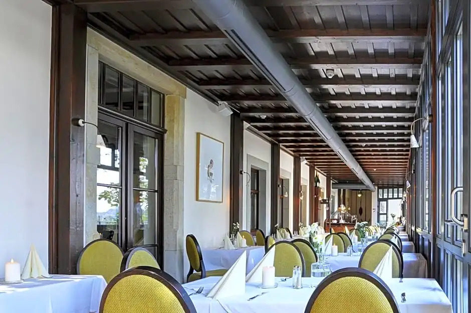 Elbterrasse Wachwitz