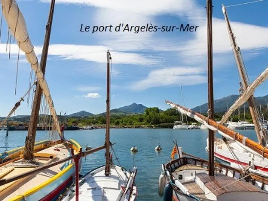 Appartement Argelès-sur-Mer, 2 pièces, 4 personnes - FR-1-225-296