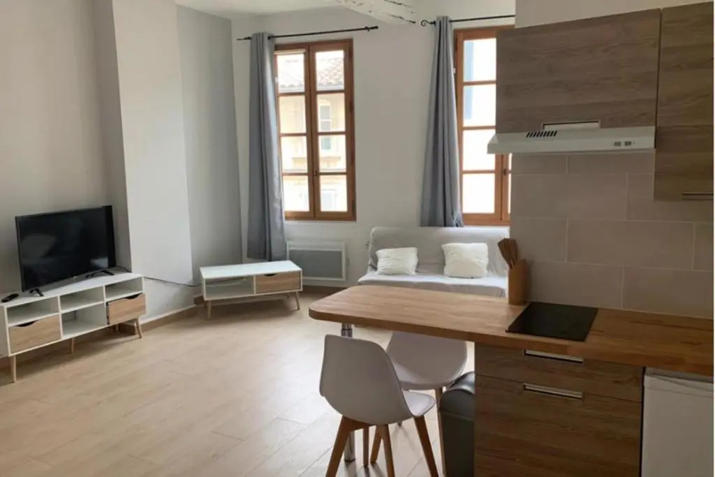 Studio 500M From The Palais Des Papes