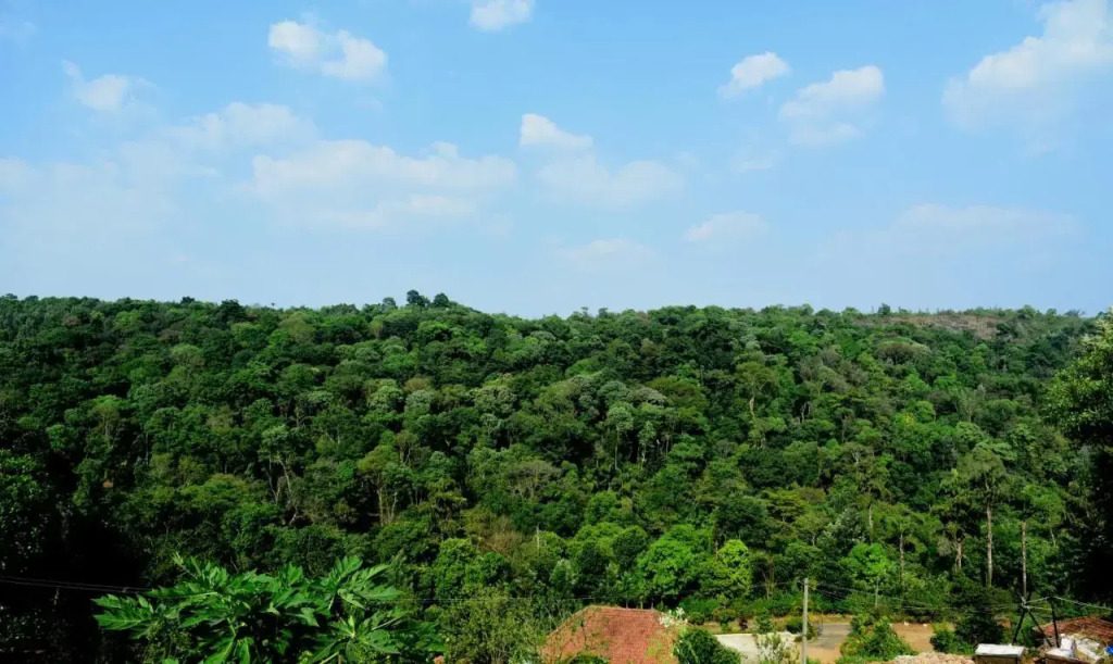 Shreegandha Homestay