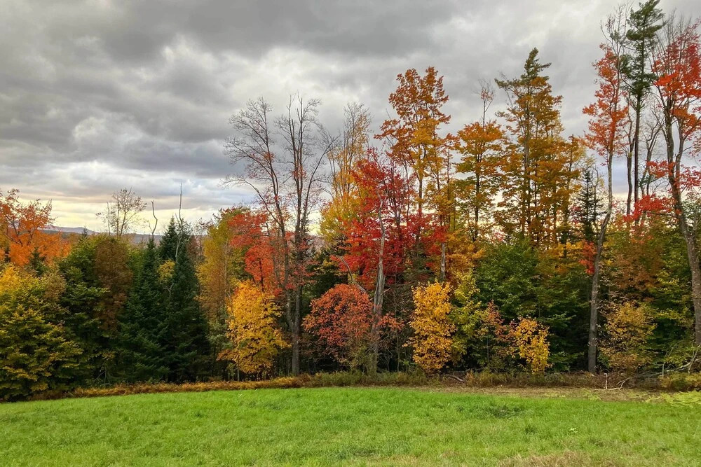 Londonderry Retreat ~ 3 Mi to Lowell Lake!