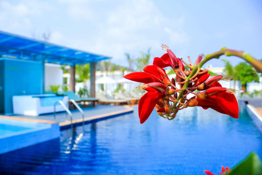 Ariya Resort