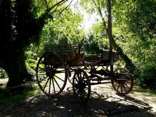 Cabañas Las Dinas
