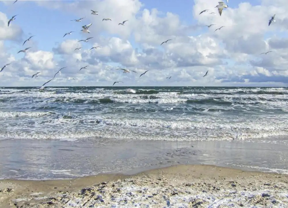 Damshagen Coastal Comfort
