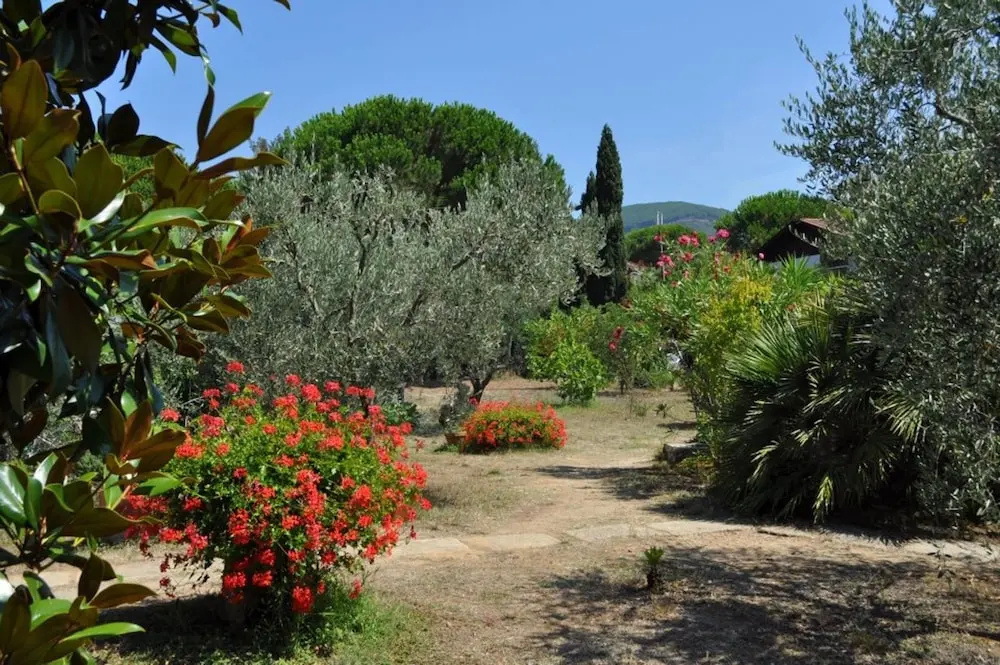 House With 3 Bedrooms in Lacona, With Furnished Terrace - 100 m From t