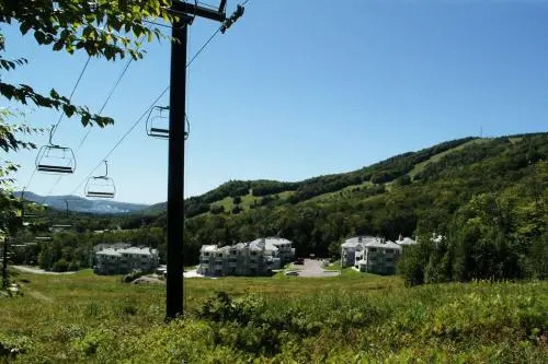 Chalet 33 Chemin du Hameau #204