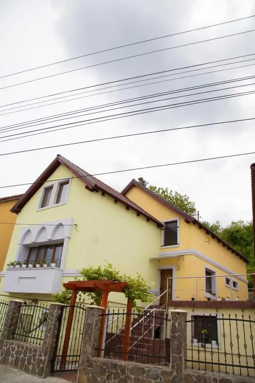 Cosbuc Residence & Villa