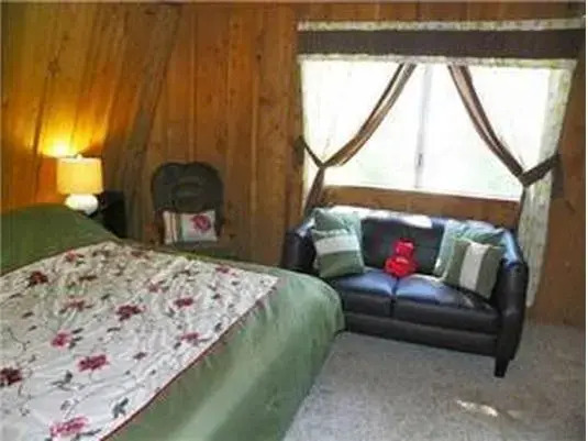 Bear Necessity by Big Bear Cool Cabins